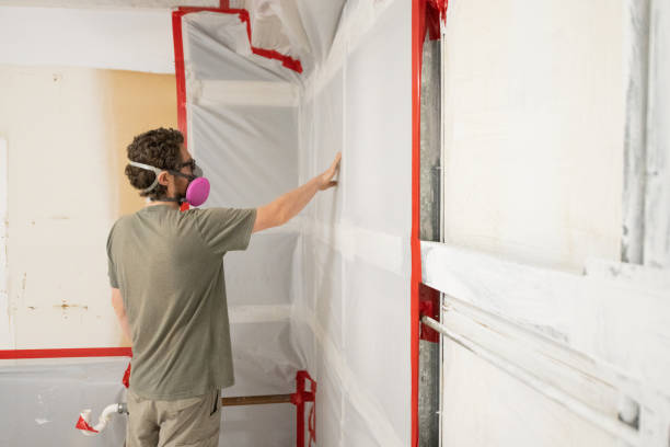 Best Environmental Consulting for Mold Prevention  in Lafayette, OR