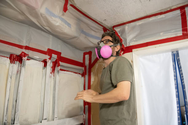 Best Basement Mold Removal  in Lafayette, OR