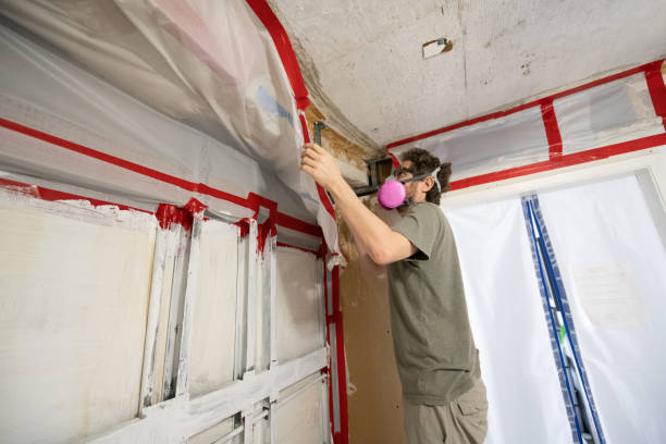 Best Mold-Related Health Consultation  in Lafayette, OR