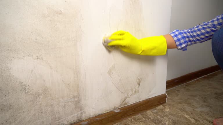 Best Asbestos and Lead Testing During Mold Inspection  in Lafayette, OR